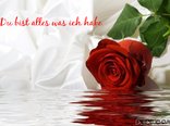 Du bist alles was ich habe
