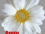 Дякую
