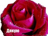Дякую