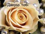 Дякую тобі