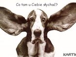 Dzień dobry
