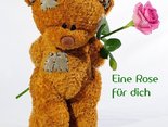 Eine Rose für dich