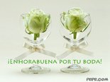 ¡Enhorabuena por tu boda!