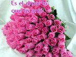 Es el amor lo que os unió