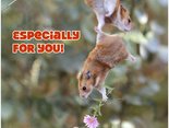 Especially for you!
