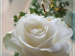 Especially for you!
