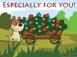 Especially for you!