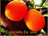 Especially for you!