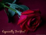 Especially For You!