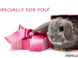 Especially for you!