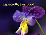 Especially for you!