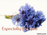 Especially for you!