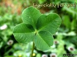 Especially for you!