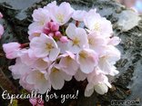 Especially for you!