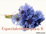Especialmente para ti