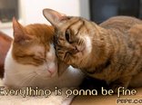 Everything is gonna be fine