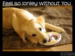 Feel so lonley without You