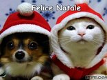 Felice Natale