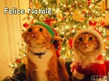 Felice Natale