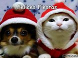Felices Fiestas
