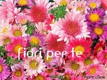 fiori per te