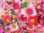flores para ti