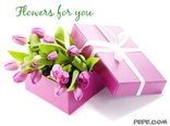 Flowers for you