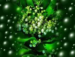 Flowers for you