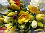 Flowers for you