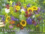 Flowers for you