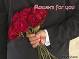 Flowers for you
