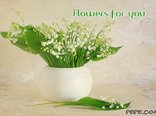 Flowers for you