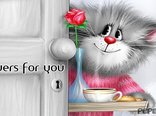 Flowers for you