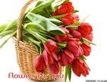Flowers for you