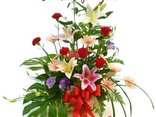 Flowers for You