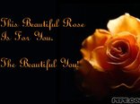Flowers To Make You Smile...