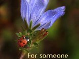 For someone I care about