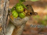 For you