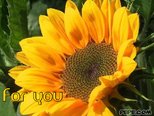 For you