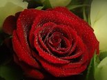For you