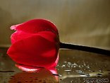 For you