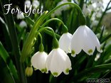 For you