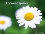 Forever yours...