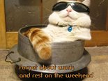 Forget about work and rest on the weekend