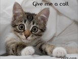 Give me a call