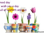 Good day I wish you a day full of warmth and sun