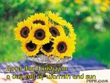 Good day I wish you a day full of warmth and sun