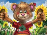 Good luck!