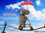 Good luck