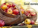 Good morning